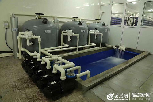 讓大閘蟹住進“公寓”里，東營小伙打造海水養(yǎng)殖新品牌