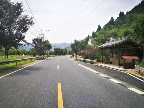 臨安公路榮膺省級綠化美化精品道路，橋梁藝術(shù)融入生態(tài)長廊